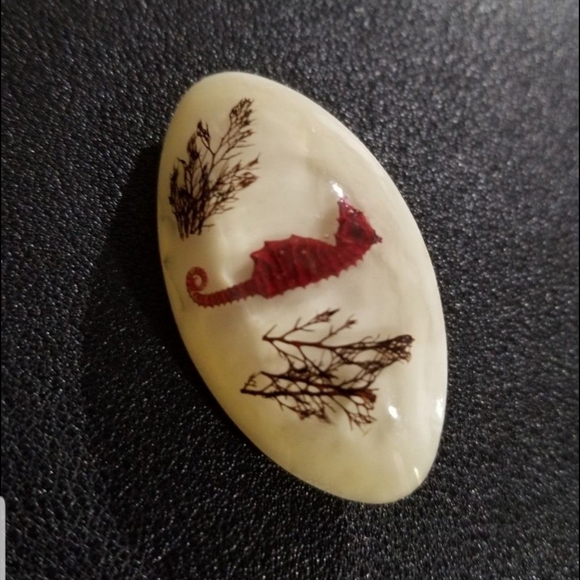 Seahorse and Coral Specimen Trapped in Resin Vintage Brooch (1960s) - Picture 3 of 5